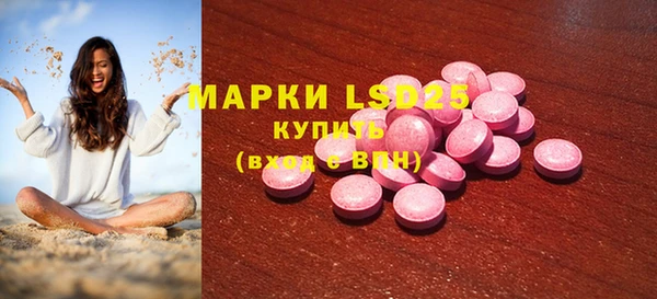 сатива Володарск