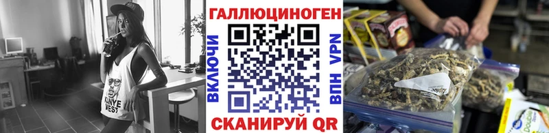 ОМГ ОМГ ONION  Новочебоксарск  Галлюциногенные грибы мухоморы 